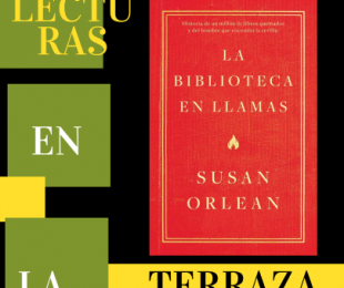 Imagen de Biblioteca en llamas