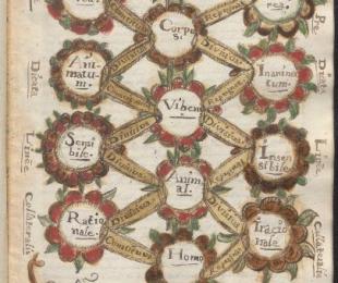 Ilustración del árbol de Porfirio