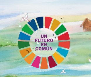 Imagen de la Exposición “Un futuro en común”