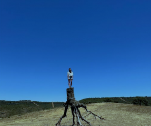 Imagen de la Exposición “Arte contemporáneo en los Montes de Toledo”