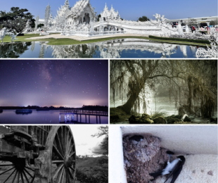 Imagen de la Exposición fotográfica. Grupo FotoReal