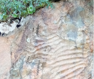 Imagen de Cabañeros sumergido