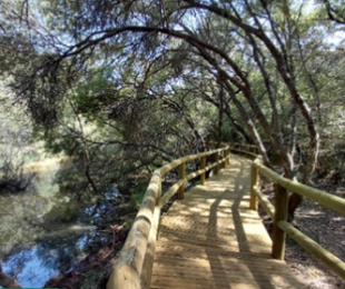 Imagen de Cabañeros