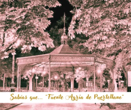 Imagen de la Fuente Agria