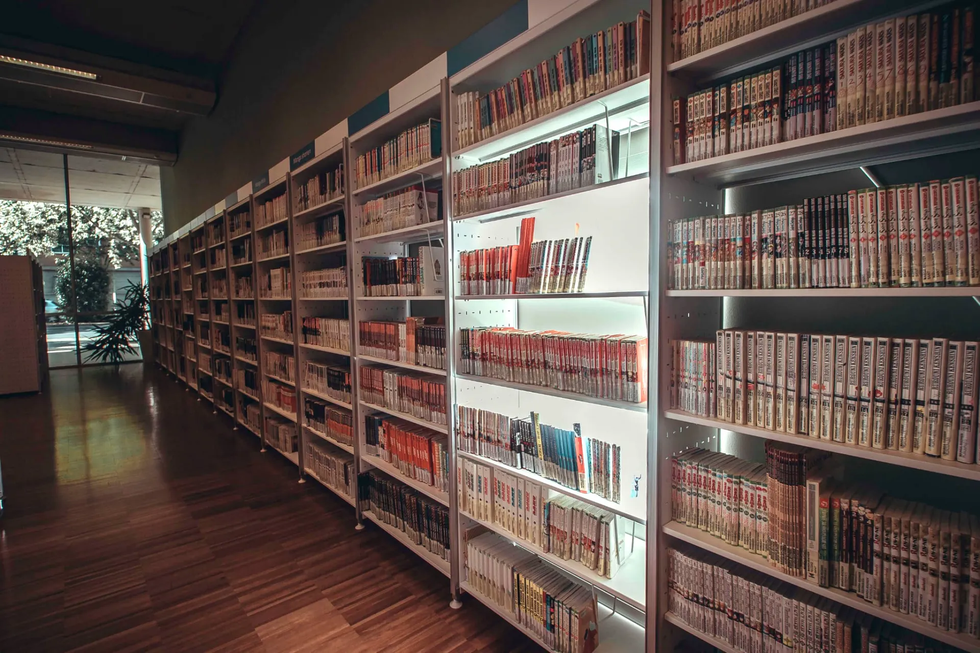 File:Sala infantil de la Biblioteca Pública del Estado en Ciudad Real.jpg -  Wikimedia Commons