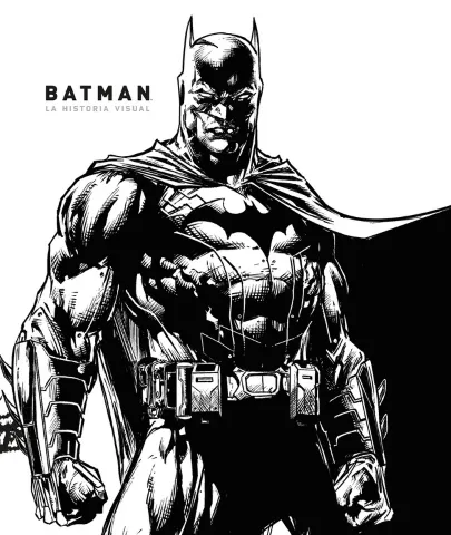 Portada del cómic Batman: la historia visual
