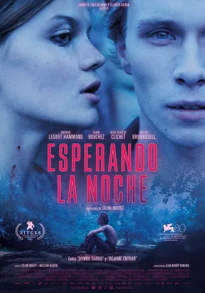 Portada de la película Esperando la noche