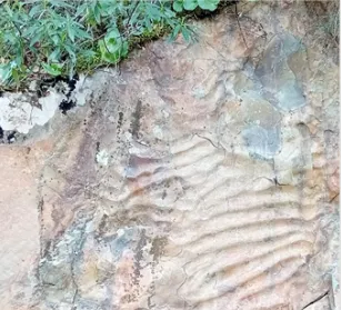 Imagen de Cabañeros sumergido