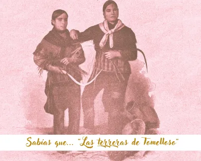 Imagen de las terreras de Tomelloso