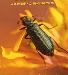 Portada del libro Bichitos