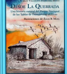 Portada del libro Desde La Quebrada