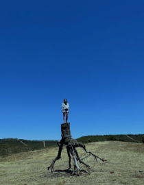 Imagen de la Charla “Arte contemporáneo en los Montes de Toledo. El paisaje expandido”
