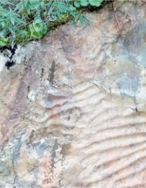 Imagen de Cabañeros sumergido