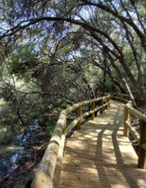 Imagen de Cabañeros